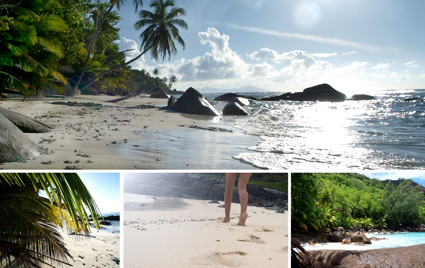 seychelles_swimwear seychelles_swimwear